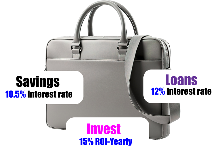 Zopharz Doucmented Savings and Investment